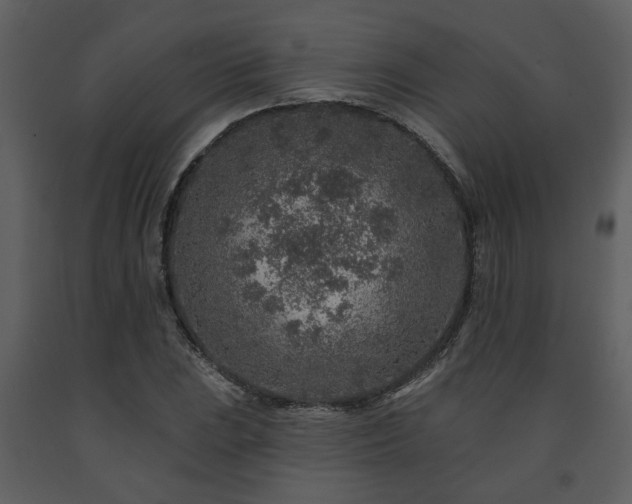 X0000091701023200708241218