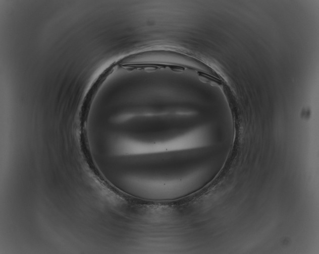 X0000091701024200708241218