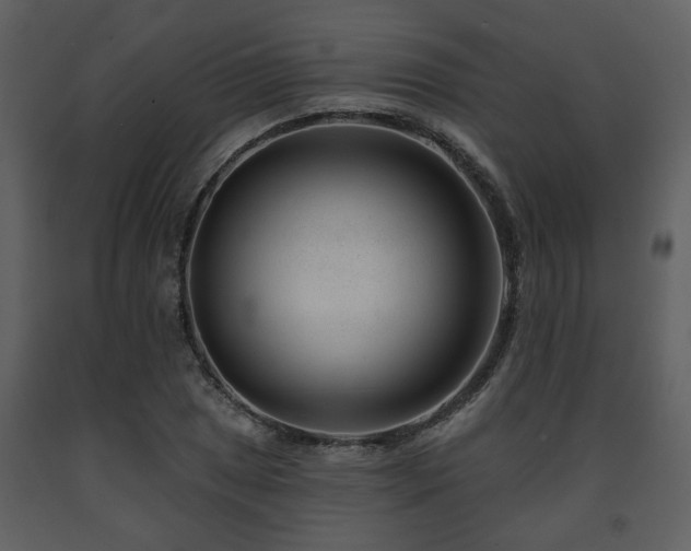 X0000091701025200708241218