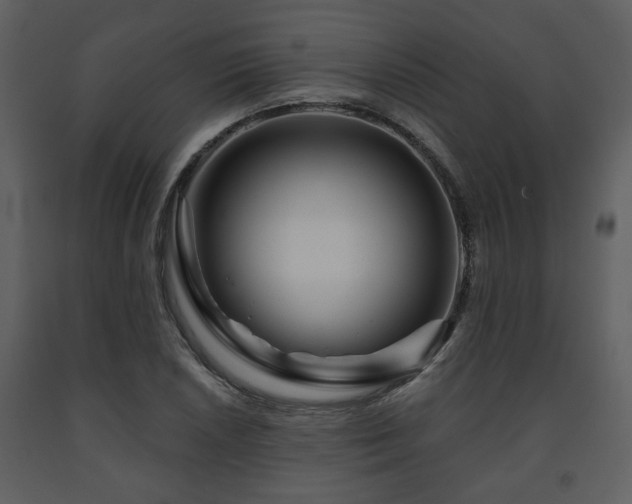 X0000091701026200708241218