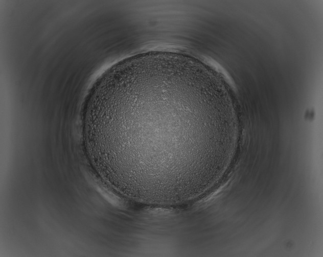 X0000091701027200708241218