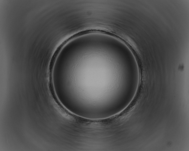 X0000091701028200708241218