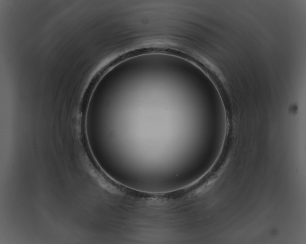 X0000091701029200708241218