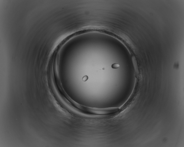 X0000091701030200708241218