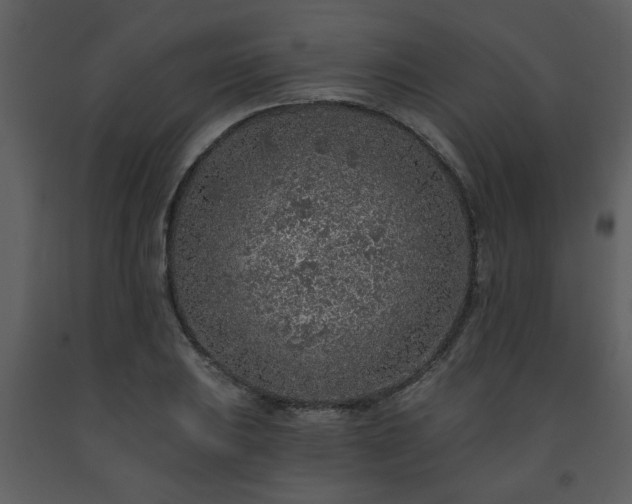 X0000091701031200708241218