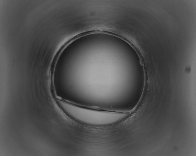 X0000091701032200708241218