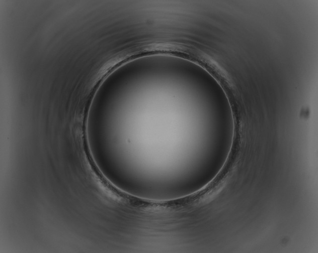 X0000091701033200708241218