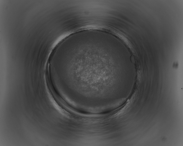 X0000091701034200708241218