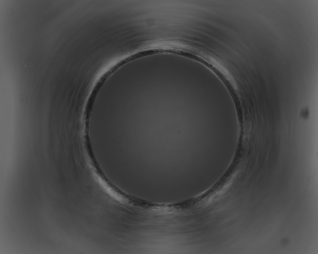X0000091701037200708241219