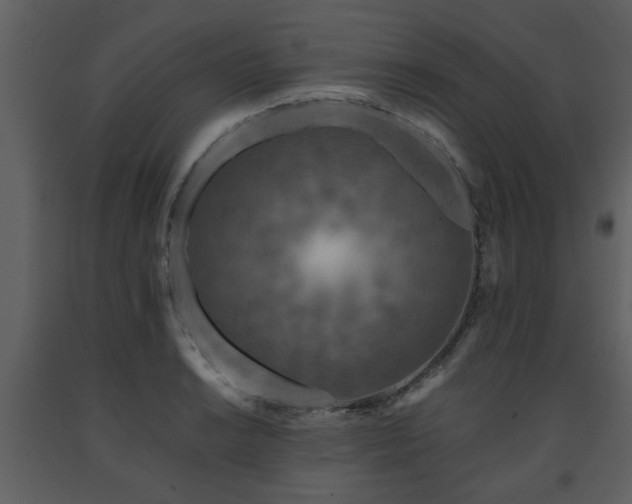 X0000091701038200708241219