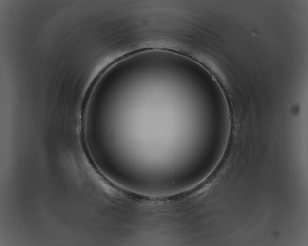 X0000091701040200708241219