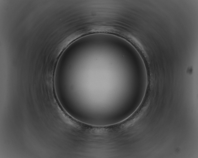 X0000091701041200708241219