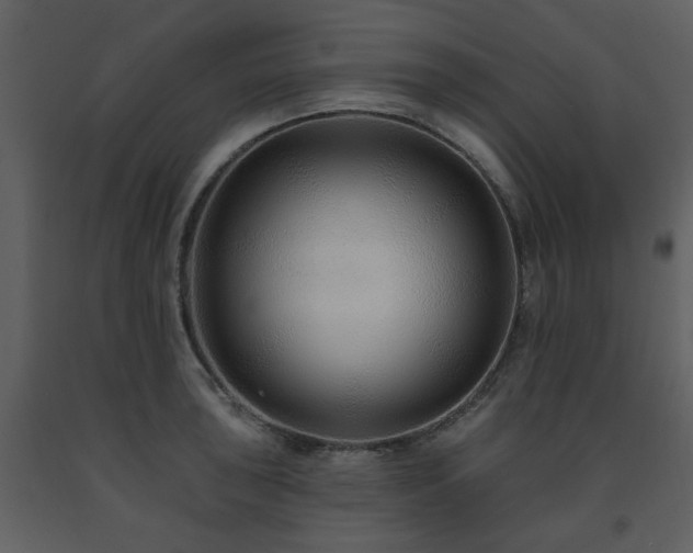 X0000091701043200708241219