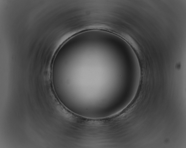 X0000091701044200708241219