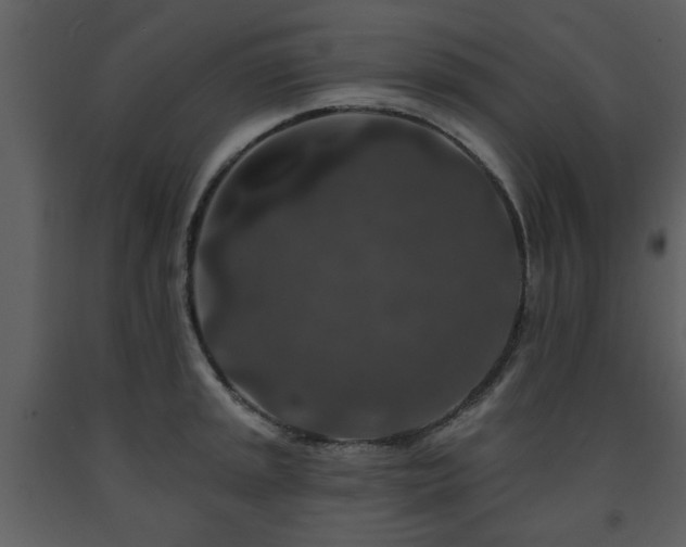 X0000091701045200708241219