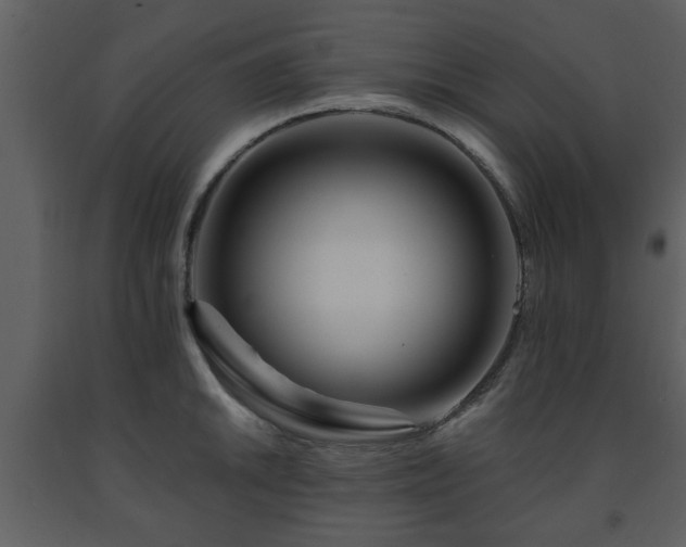 X0000091701046200708241219