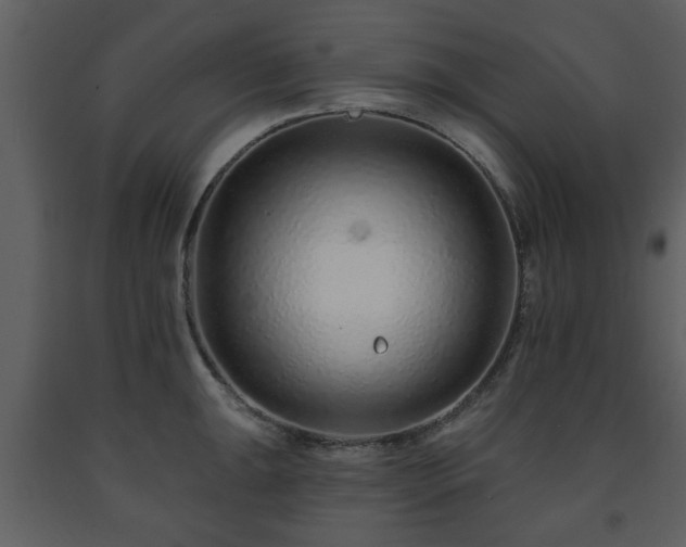 X0000091701047200708241219