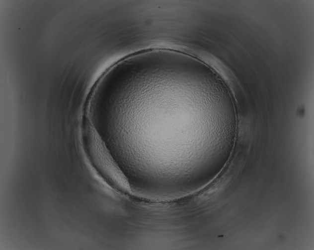 X0000091701048200708241219