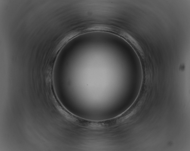 X0000091701049200708241219