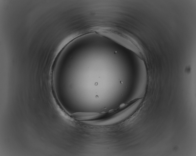 X0000091701050200708241219