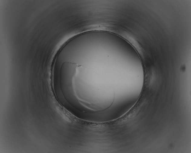 X0000091701051200708241219