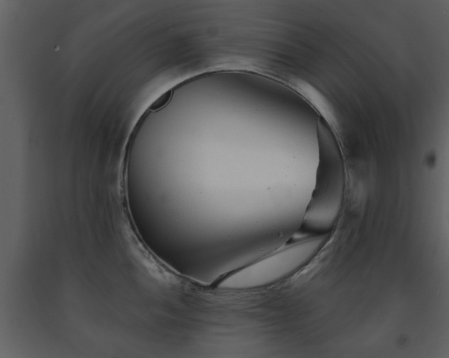 X0000091701052200708241219