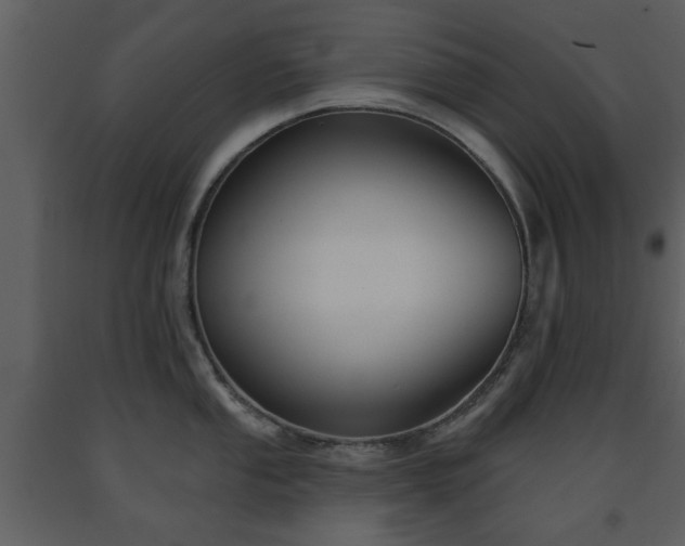 X0000091701053200708241219
