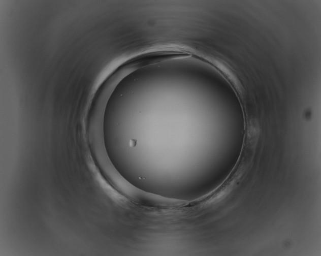 X0000091701054200708241219
