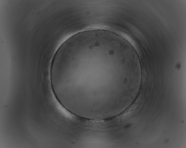 X0000091701055200708241219