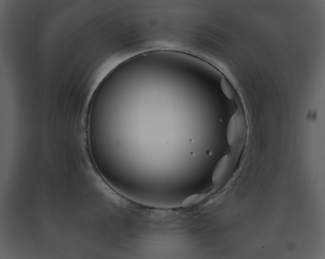 X0000091701056200708241219