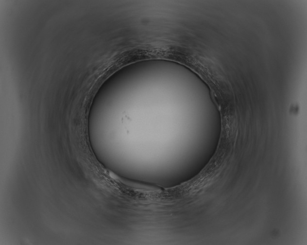 X0000091701057200708241218