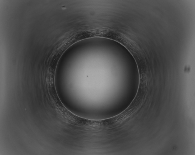 X0000091701058200708241218