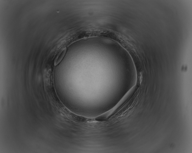 X0000091701059200708241218