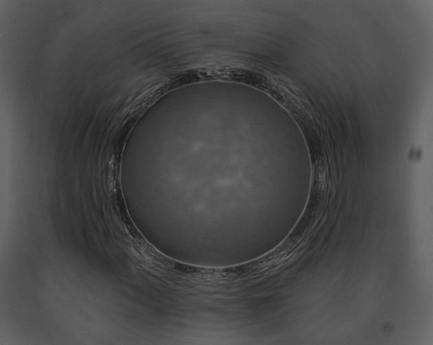 X0000091701060200708241218