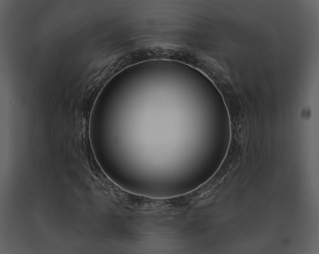 X0000091701061200708241218