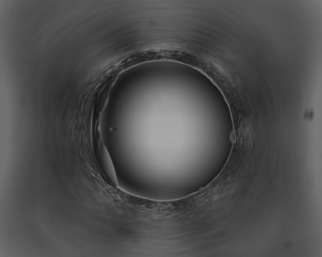 X0000091701062200708241218