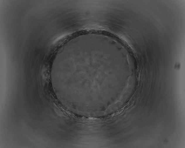 X0000091701063200708241218
