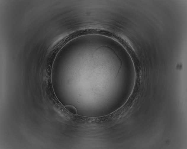 X0000091701064200708241218