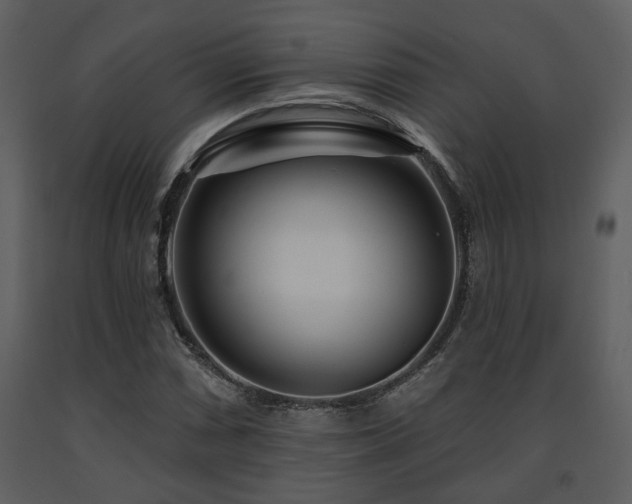 X0000091701066200708241218