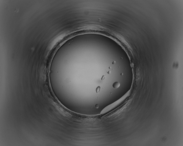 X0000091701067200708241218