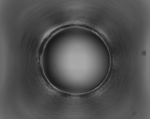X0000091701070200708241218
