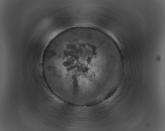 X0000091701071200708241218