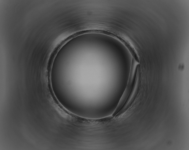 X0000091701072200708241218