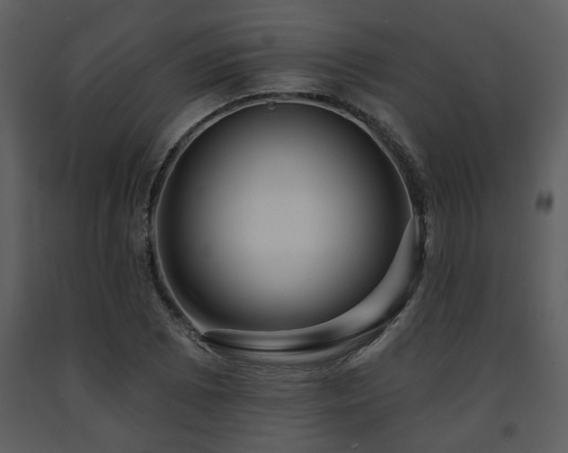 X0000091701073200708241218