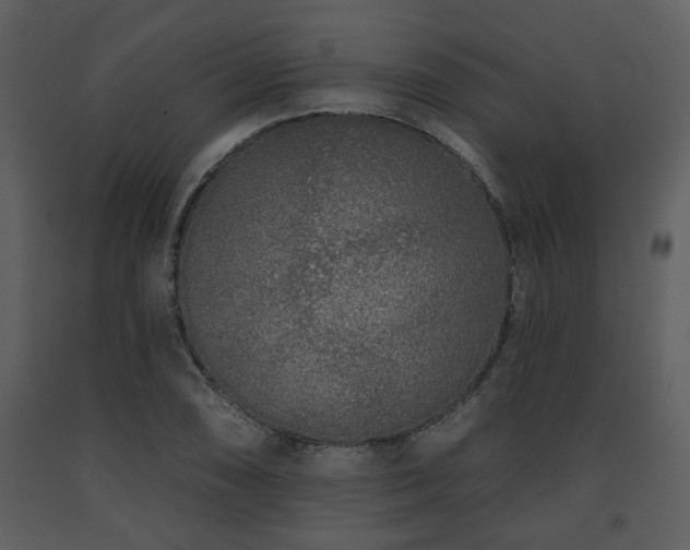 X0000091701074200708241218