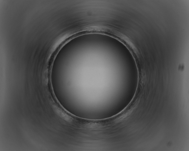 X0000091701075200708241218
