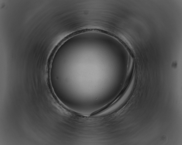 X0000091701076200708241218