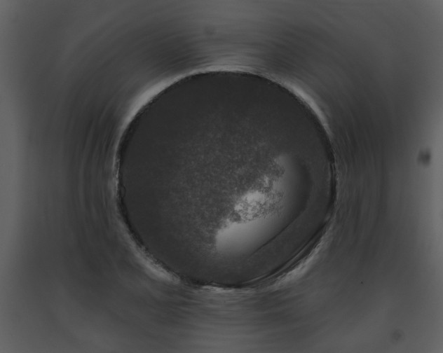 X0000091701077200708241218