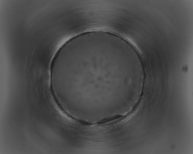 X0000091701079200708241218
