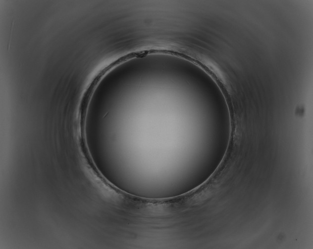 X0000091701080200708241218